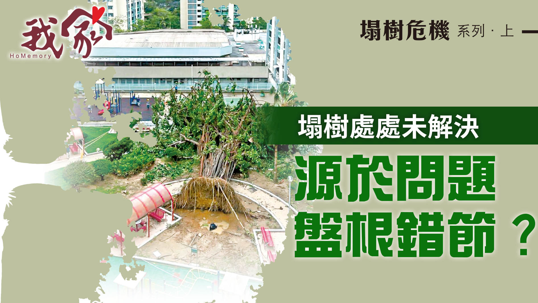 塌樹危機系列．上──塌樹處處未解決  源於問...